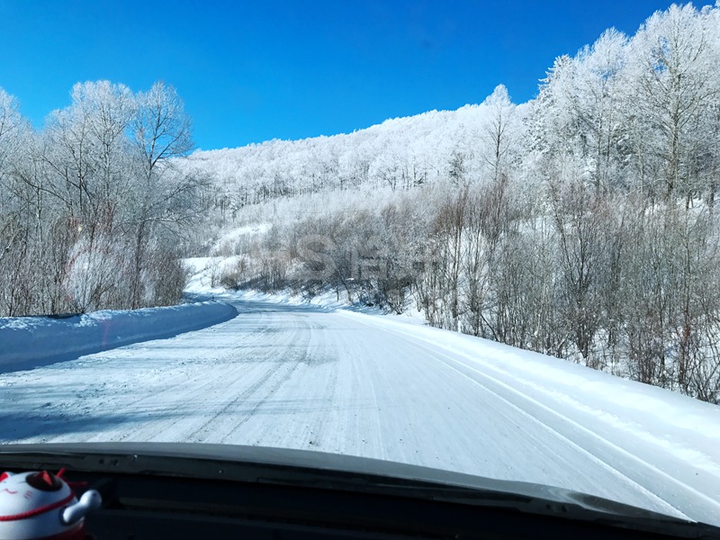 2018年的第一場雪，在北國雪山的恰好時綠卻生機盎然！