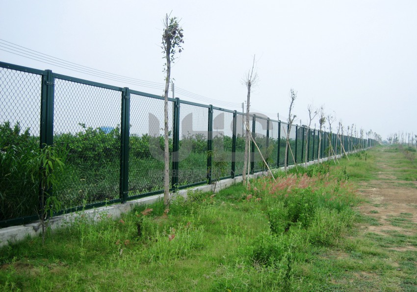 廣州番禺海鷗島水產養殖基地